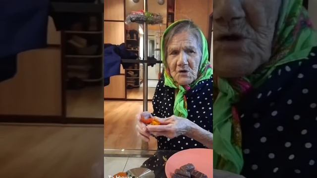 КОШКИ НЕ ЕДЯТ ХУРМУ БАБ ? смотреть онлайн