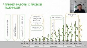 Вебинар. Безводный аммиак и точное земледелие в Сибири: в чем преимущества и какие перспективы.