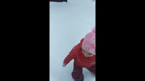 Ребенок гуляет с собакой. Самостоятельно.