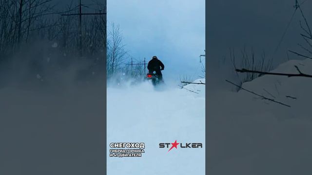 Снегоход Stalker покоряет новые маршруты зимнего леса
