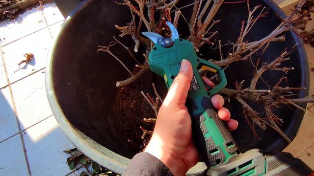 Сроки посева на рассаду семян перца, томатов и огурцов. смотреть онлайн