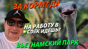 ВЬТНАМСКИЙ ПАРК! КРОКОДИЛЫ И СОБЕСЕДОВАНИЯ С СОТРУДНИКАМИ!