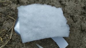 Ловушка для муравьев из сентипона. Экспиримен 1.