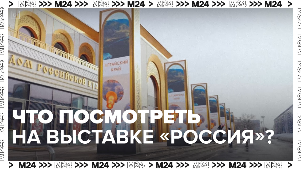 Что посмотреть на выставке Россия  Москва24 | Это Москва !