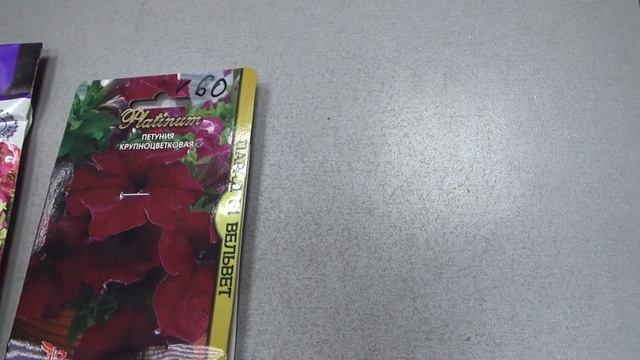 Ах чаровница петуния, как же сделать выбор. (Архивное видео) смотреть онлайн