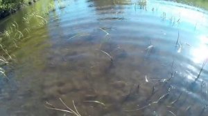 Аналог вертушки Daiwa Silver Creek