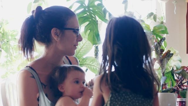 Begonia Malachosticta - Rare Plant Care & Tips смотреть онлайн