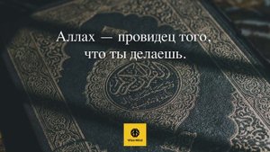 Цитаты из Корана: мудрость от Аллаха