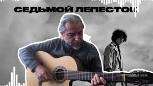 7 лепесток-fingerstyle guitar