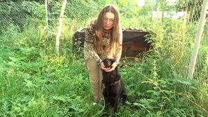 Вычесываем репей у собаки без конфликта