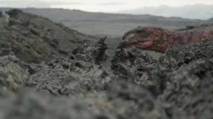 Rajasaurus Hunting Baby Isisaurus | Prehistoric Planet 2