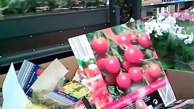 Нелегальная иммиграция в Испанию Лидл и немного Каправо смотреть онлайн