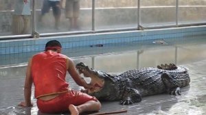 Crocodile Farm Pattaya