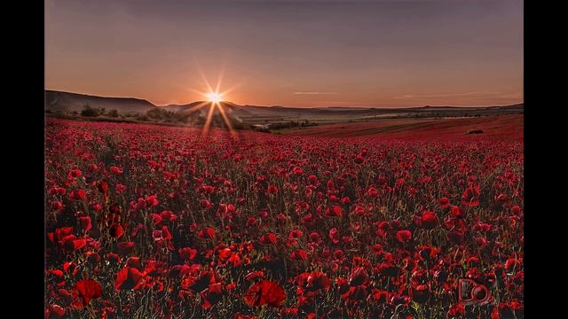 «Способность помнить» притча смотреть онлайн