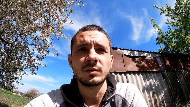 Антракноз клубники. Продолжаем изучение и начинаем борьбу. .n.,