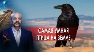 Самая умная птица на Земле. Загадки человека с Олегом Шишкиным. (21.02.2022).