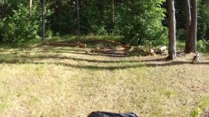 Сплав на байдарке по Клязьме от Петушков до Собинки