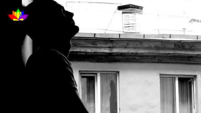 Что делать с чувством вины. видео 38