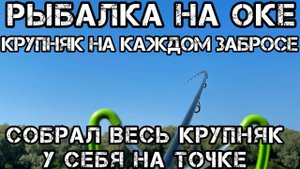 СОБРАЛ ВЕСЬ КРУПНЯК на ТОЧКЕ Рыбалка НА ОКЕ КРУПНЯК на КАЖДОМ ЗАБРОСЕ