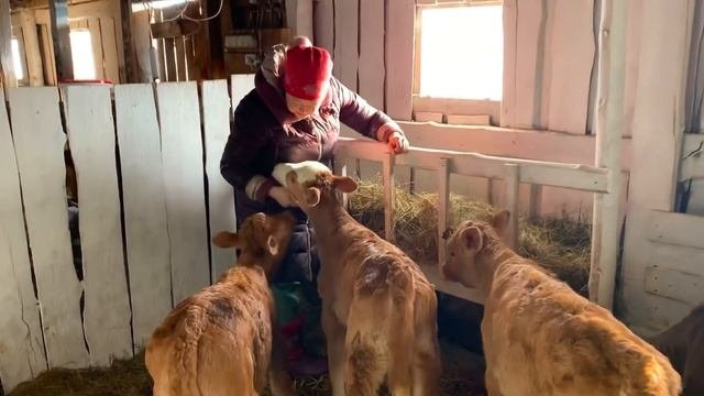 СОВЕТСКИЕ ПРОВЕРЕННЫЕ САЛАТЫ ИЗ ПРОСТЫХ ПРОДУКТОВ!