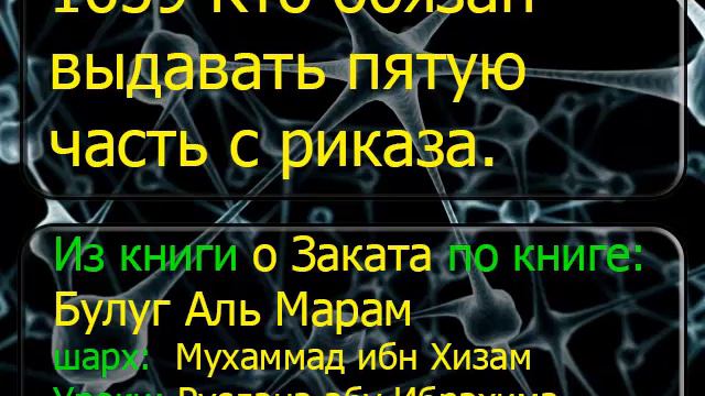 1659 Кто обязан выдавать пятую часть с риказа смотреть онлайн