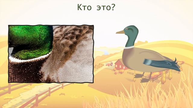 Russian: first words. Farm animals. Лексика. Животные на ферме. Русский язык детей. Russian for kid смотреть онлайн