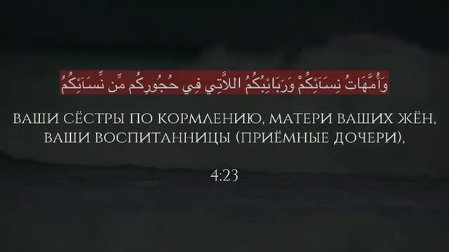 Сура: Ан-Ниса 4:23. Чтец: Ясир Аль Досари смотреть онлайн