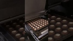 Отсадочная машина для производства пряников, печенья, заварных, овсяного печенья