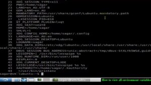 How to view all environment variables in lubuntu