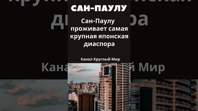 Интересные факты о Сан-Паулу Бразилия #shorts