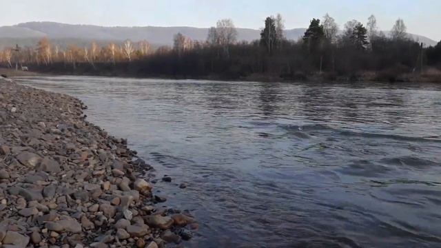 Прогулка по Вязовой смотреть онлайн