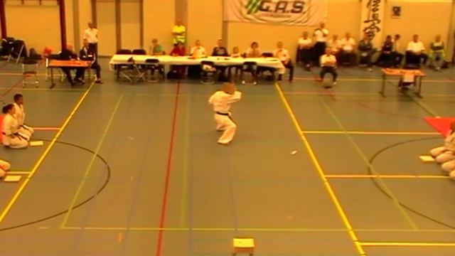 Sensei Marcel Smit - Kanku Dai & Tameshiwari Demo (Kyokushin) смотреть онлайн