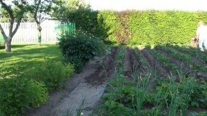 С этими колесами МБ работает как швецарские часы!With these wheels, MB works like a Swiss watch!