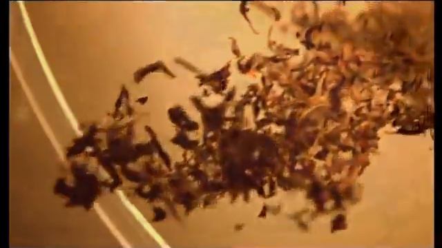 Майский Чай SD смотреть онлайн