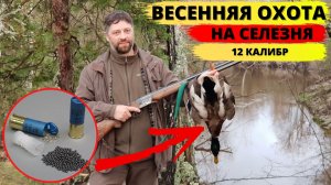 Ходовая охота на утку  Весна / Running duck hunting Spring