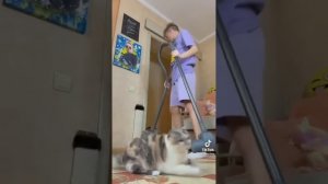 ПАУЛ ЛИБО ПРОСТО ПАША, НИКИТА УДАНОВСКИЙ