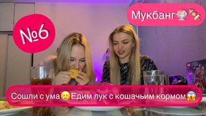Обсуждаем Новый Год.Играем в игру и едим кошачий корм на спор.Рыдаю в выпуске.