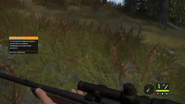 Первая охота на животных смотреть онлайн