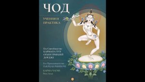 Практика ЧОД, какая она в реальности...