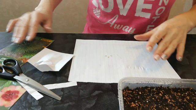 Лапчатка, лобелия и овсяница посев семян смотреть онлайн