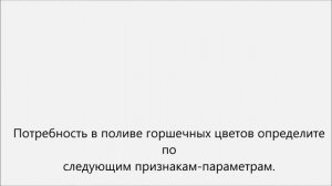 Как поливать цветы.Как часто поливать цветы