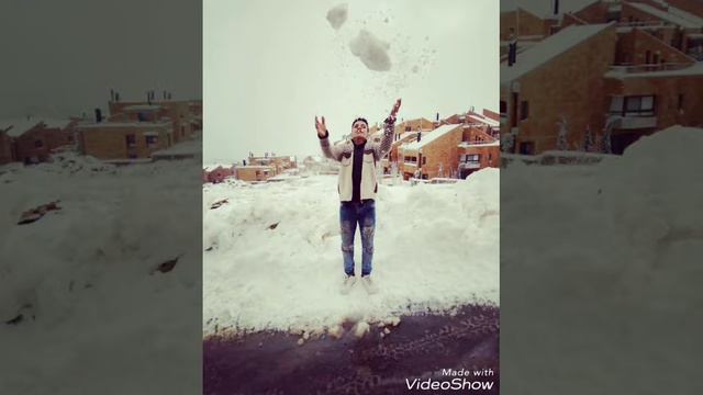 محمد الولي