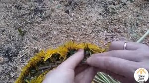 Как плести ВЕНОК ИЗ ОДУВАНЧИКОВ /Венок из цветов / Wreath of flowers