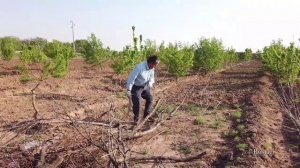 Приготовление рыбы-гриль на костре Азербайджанская Кухня Деревенская Кухня  Рецепты