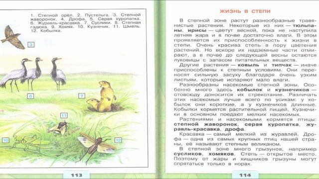 Зона степей. Окружающий мир. 4 класс, 1 часть. Учебник А. Плешаков стр. 110-117