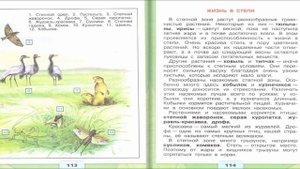 Зона степей. Окружающий мир. 4 класс, 1 часть. Учебник А. Плешаков стр. 110-117