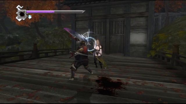 PC Ninja Gaiden Sigma 1 Chapter 14 The Ancient Twin Deities Прохождение