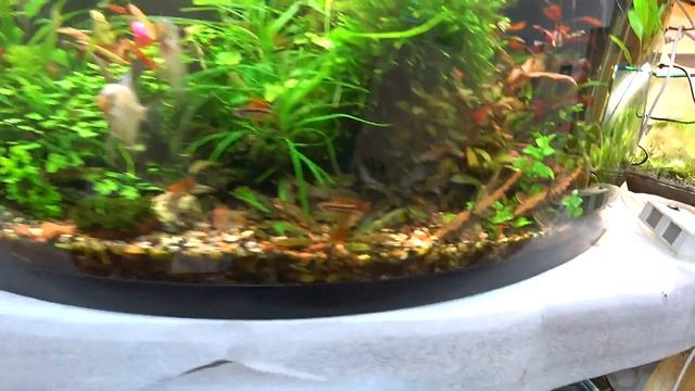 Новые рыбки на разводне смотреть онлайн