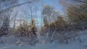 Зимний лес. Зимы ждала, ждала природа.  Снег выпал только в январе  На третье в ночь.