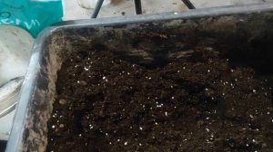 Состав грунта для посева - Агробалт + грунт Светофор